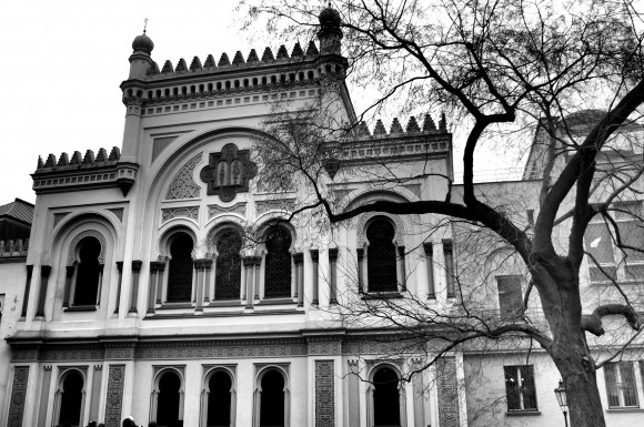 DSC_0881_2