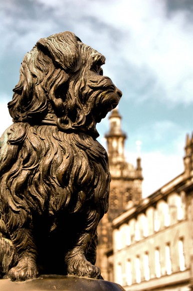 Bobby de Greyfriars
