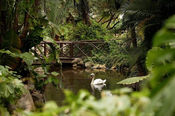 Hotel Puente Romano - Jardines Hotel Puente Romano - Jardines