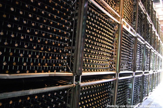 VISITA BODEGAS TORRES visita bodegas torres: