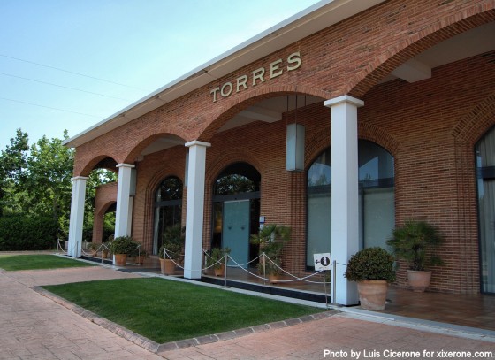VISITA BODEGAS TORRES visita bodegas torres: