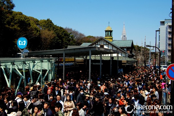 Harajuku_Japon