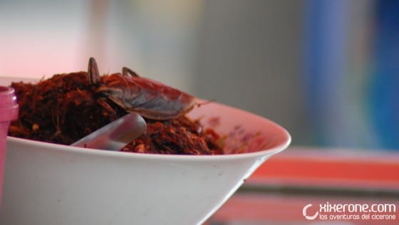 comer-cucaracha-asia