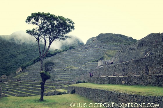Terrazas de cultivo