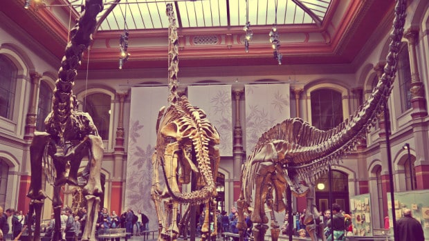 Museo de Ciencias Naturales de Berlín