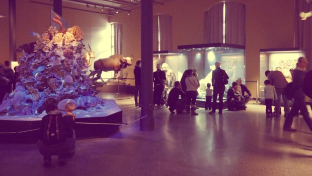 Obras maestras de la taxidermia - Museum für Naturkunde